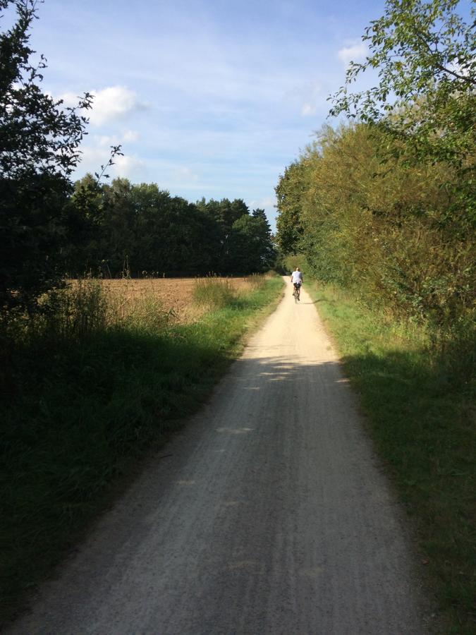 Exklusive Ferienwohnung Zwischen Uni Und Altstadt Lüneburg Buitenkant foto